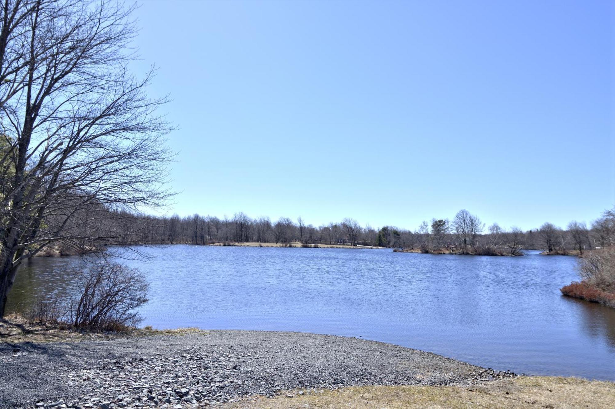 Lakehouse *Hottub*Jacuzzi*Firepit*Bbq*Pool Long Pond Екстер'єр фото